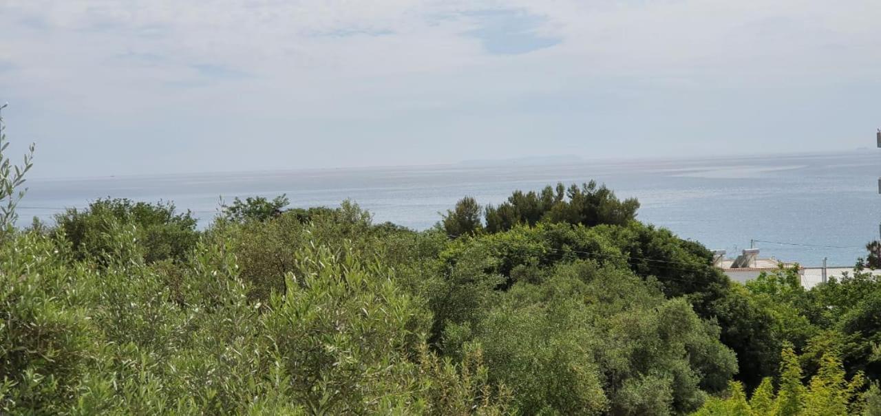 Seaview Apartment Borsh Buitenkant foto